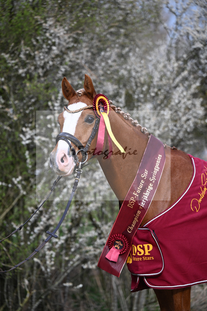 Kat-Nr. 46 TP Fabelhafter Floris v. Fabelhafter Frechdachs_Schmid_7251274 | hf-fotografie - Realizzato con Pictrs.com