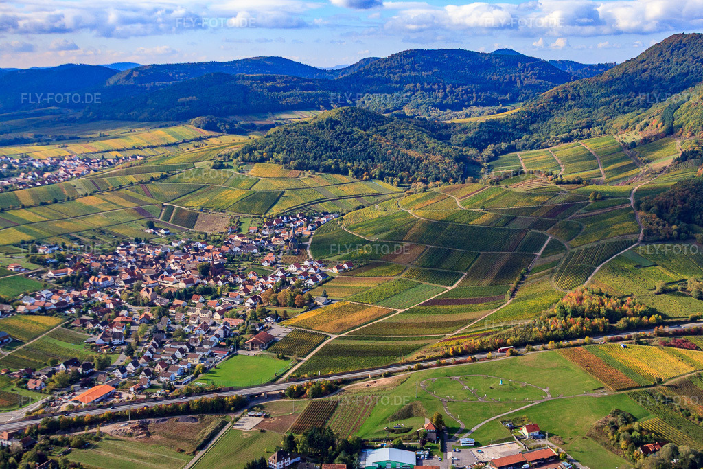 Luftbild: Ortsansicht von Norden in Birkweiler im Bundesland Rheinland-Pfalz in Deutschland. Foto: IMG_22303.jpg vom 15.10.2009 durch Werner Riehm/FLY-FOTO.de