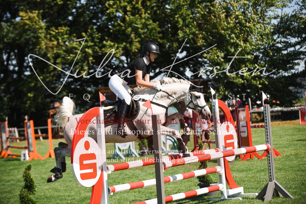 DSC_2751 | Pferde- und Turnierfotografie in Westsachsen. Pferdeportraits, Auftragszeichnungen und intuitive Kunst.