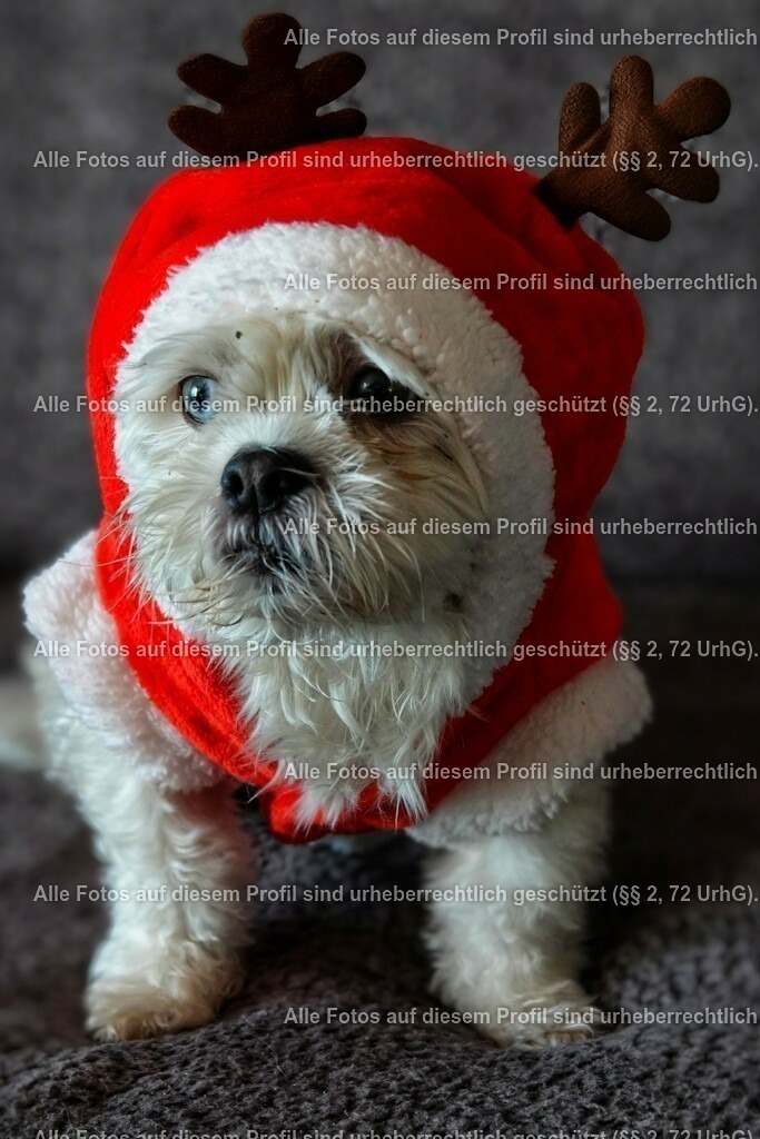 BMF02704-01_3 | krollfotografie - Realisiert mit Pictrs.com