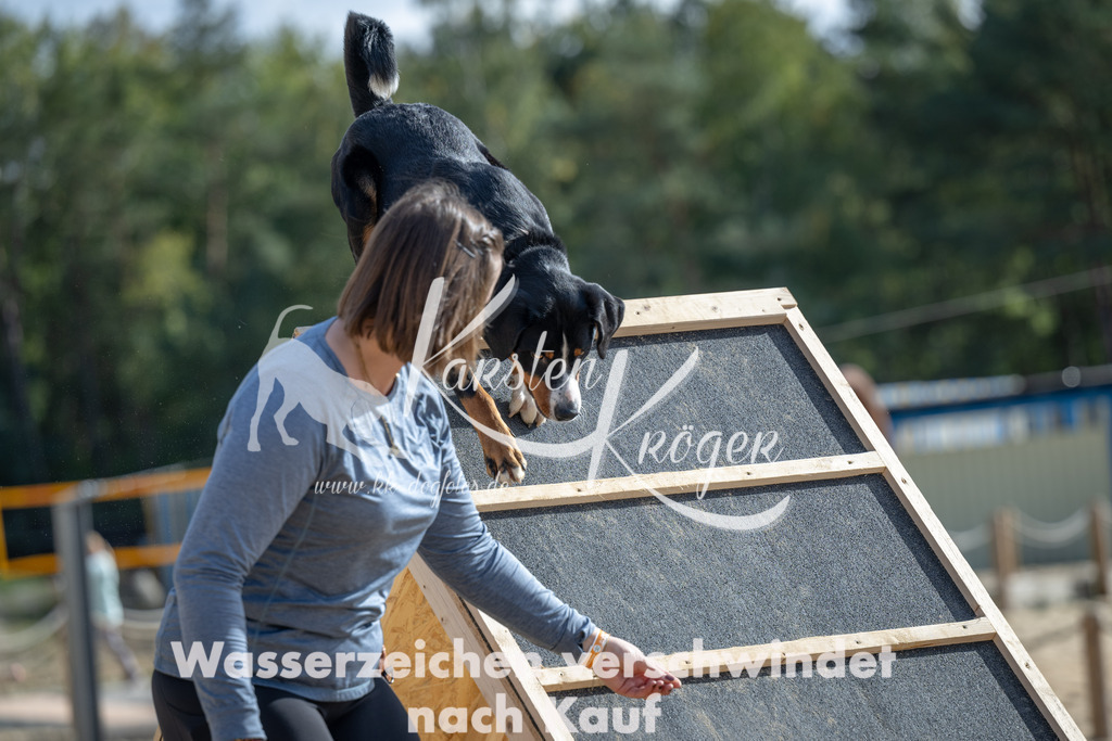 1439_ZZ91824 | kk-dogfotos