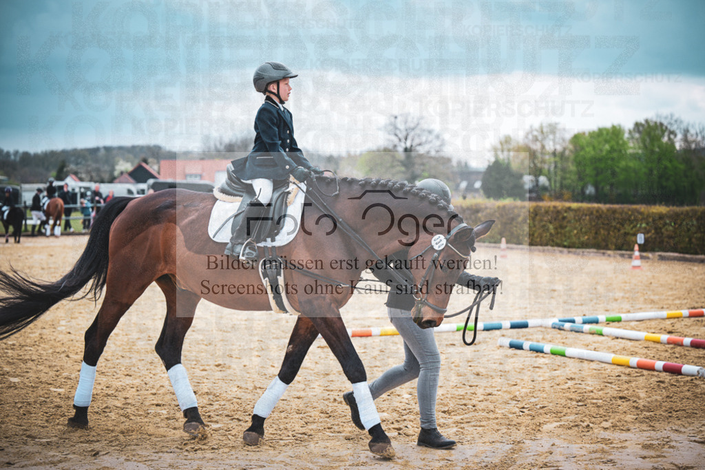 DOS_8512 | Entdecke hochwertige Reitturnierfotos von Foto Oger. Professionell, emotional und authentisch – jetzt Lieblingsmomente im Shop bestellen.Deutschlandweite Turnierfotografie. - Realisiert mit Pictrs.com