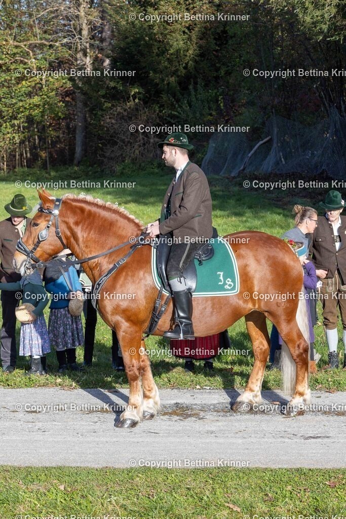 LBT24-225 | foto-bettina-krinner - Realisiert mit Pictrs.com
