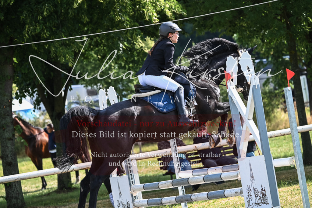 DSC_7877 | Pferde- und Turnierfotografie in Westsachsen. Pferdeportraits, Auftragszeichnungen und intuitive Kunst.