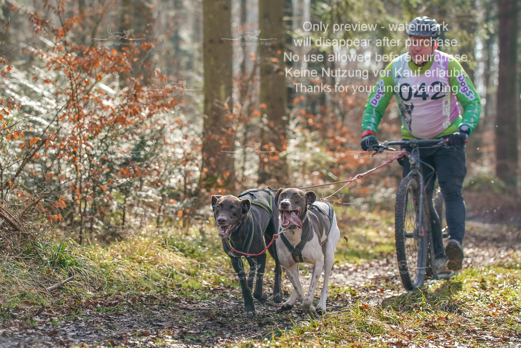 So_Scooter_2-41 | stephaniefillaphotographie - Realisiert mit Pictrs.com