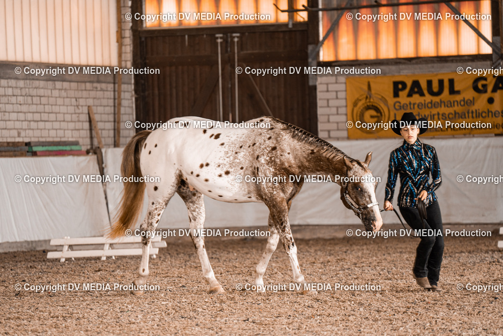 ZH200088 | dv-media-shop - Realisiert mit Pictrs.com