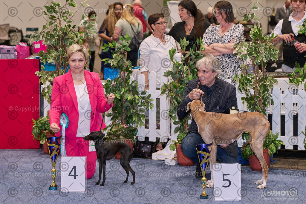 202406_ÖKV-IHA-Tulln24_NZ9_7889 | proPHOTO - Realisiert mit Pictrs.com