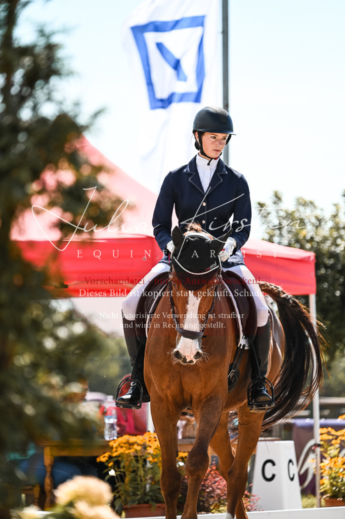 DSC_5531 | Pferde- und Turnierfotografie in Westsachsen. Pferdeportraits, Auftragszeichnungen und intuitive Kunst.