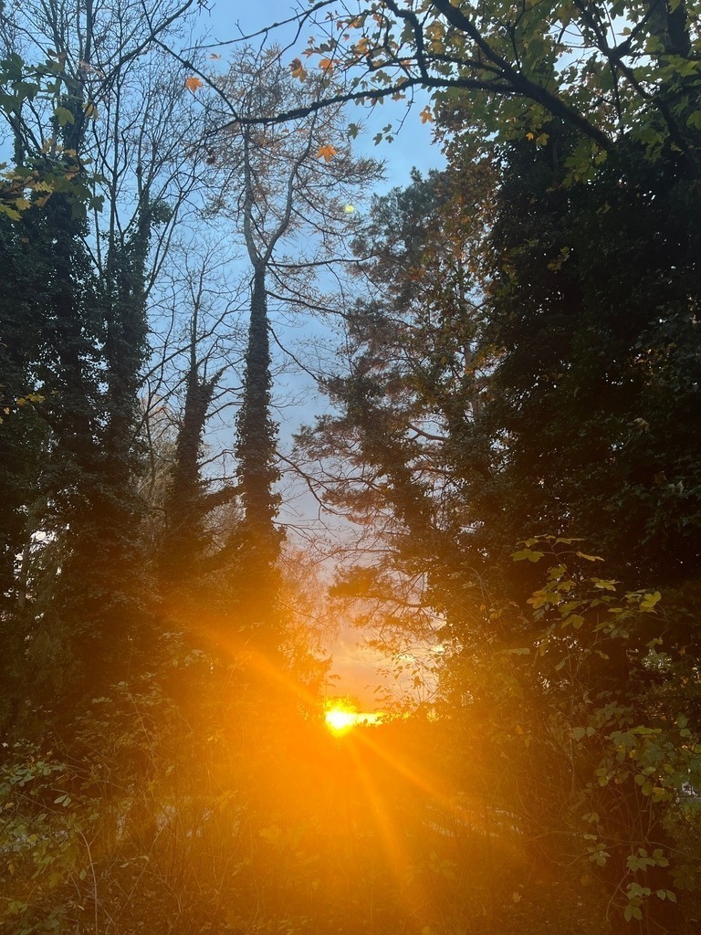 IMG_8936 | ace - Realisiert mit Pictrs.com