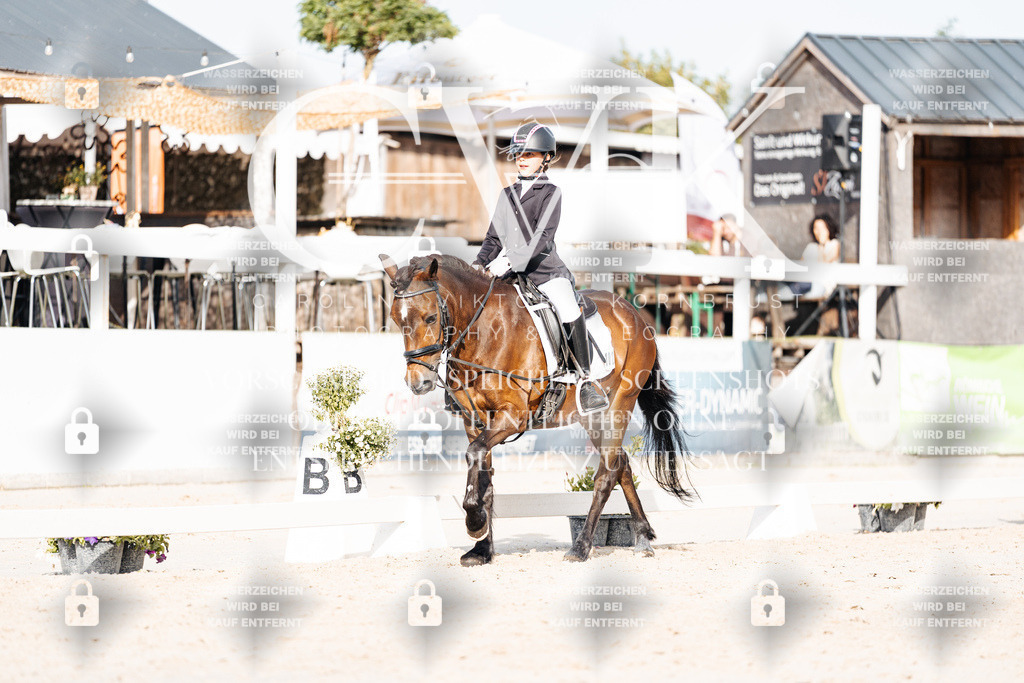 CK904821 | Turnierfotografie Pferdefotografie Trier Rheinland-Pfalz Pferdesport Reitsport Tierfotografie Sportfotografie Pferdevideo Pferdevideografie Equestrianvideography equestrianphotography  - Realisiert mit Pictrs.com