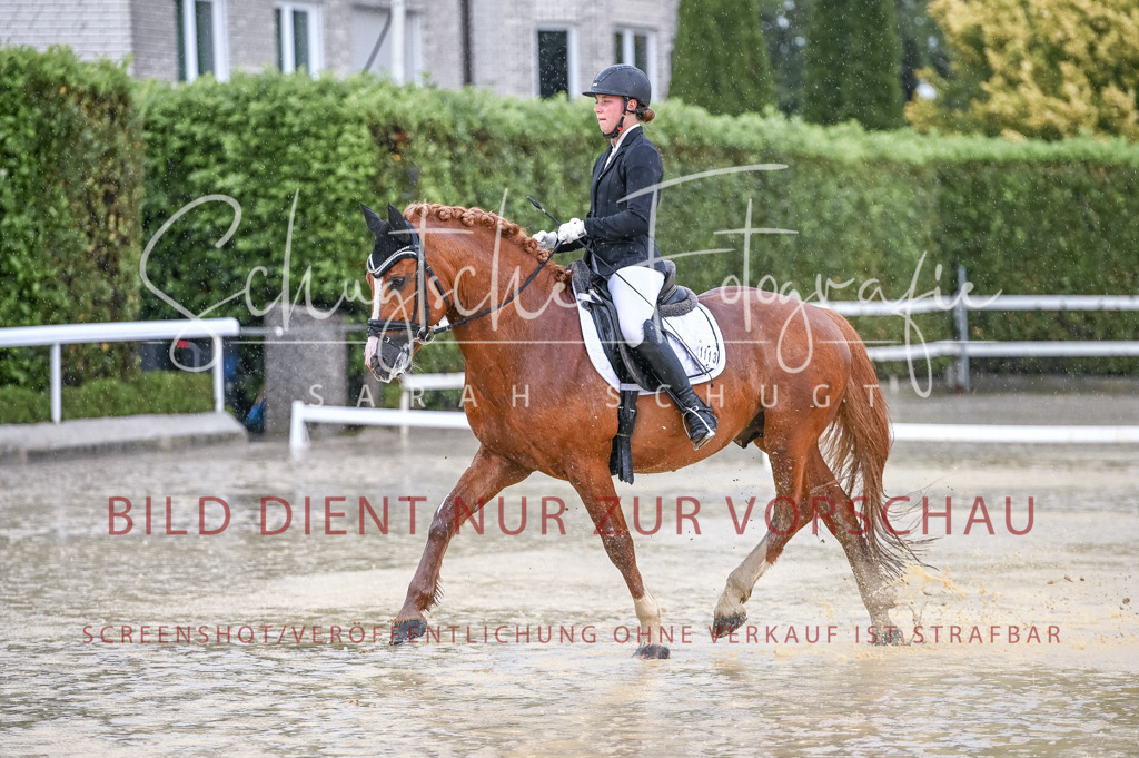 Schugtsche-Aluta25-54.Dressurprf.L1Trense-73 | Schugtsche Fotografie - Realisiert mit Pictrs.com