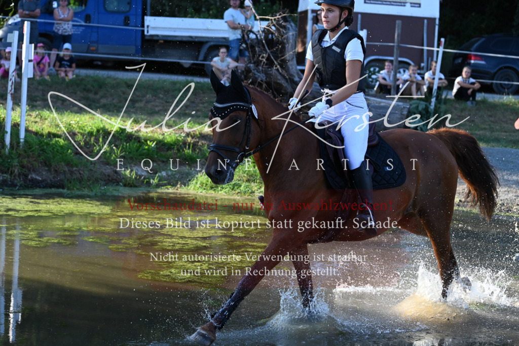 DSC_9059 | Pferde- und Turnierfotografie in Westsachsen. Pferdeportraits, Auftragszeichnungen und intuitive Kunst.