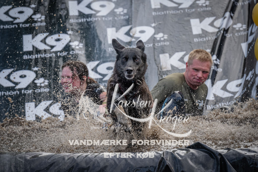 1419_ZZ92917 | kk-dogfotos