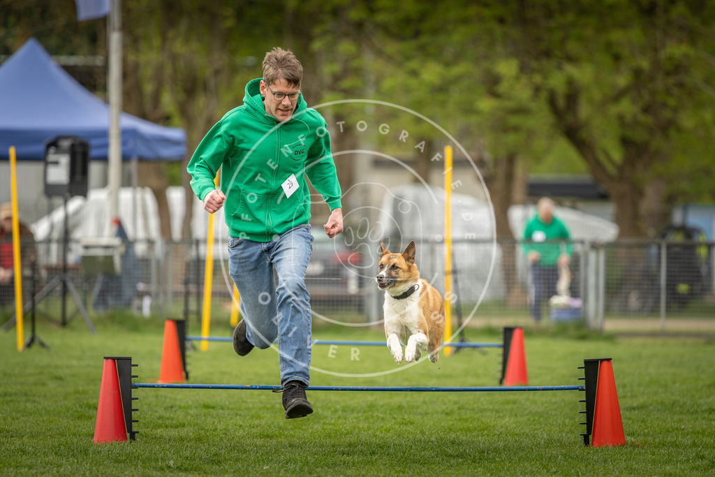 Pfotenfotografie_DV3A2678 | Hundefotografie, Tierfotograf, Pfotenfotografie, Fotoshooting Hund, Hunde Portrait, Hundesport, Hundeportraits, Heideshooting, Hunde, Sportfotograf, Hundefotograf, Turnierhundsport, THS,  - Realisiert mit Pictrs.com