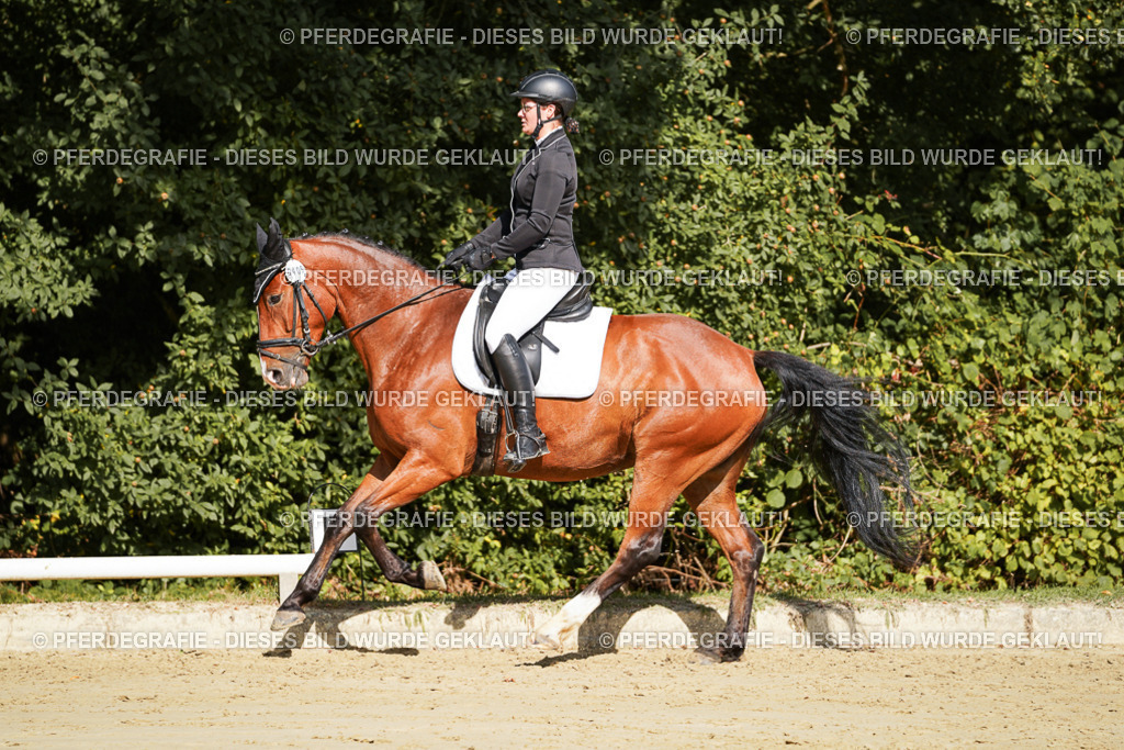 DSC08386 | Pferdegrafie