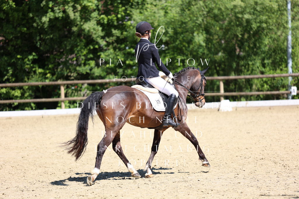 IMGS1156 | pl-fotografie