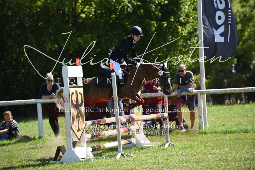 DSC_9468 | Pferde- und Turnierfotografie in Westsachsen. Pferdeportraits, Auftragszeichnungen und intuitive Kunst.