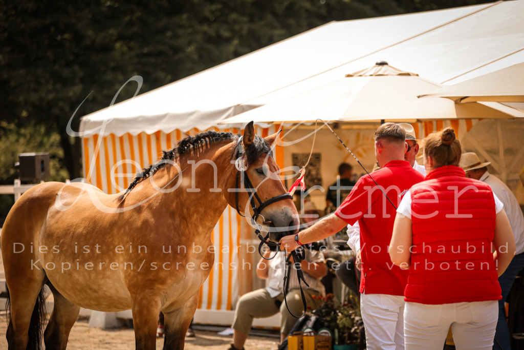 2.Sa00087 | Leoni Ertmer Photography - Realisiert mit Pictrs.com