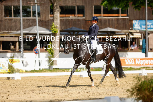 _62_2641 | larahueckfotografie