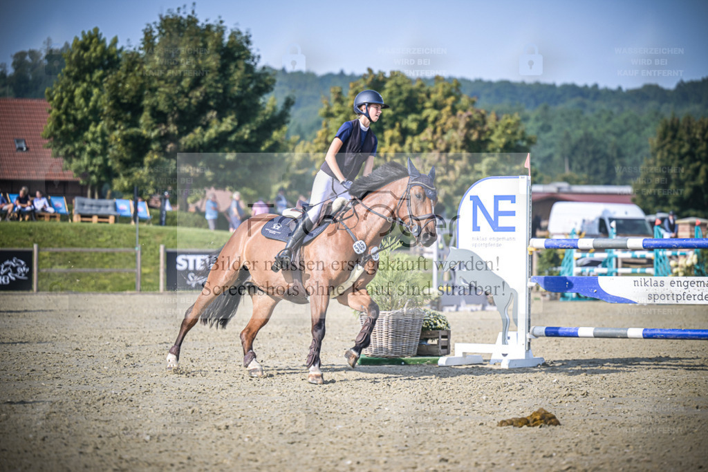 DOS_3346 | Entdecke hochwertige Reitturnierfotos von Foto Oger. Professionell, emotional und authentisch – jetzt Lieblingsmomente im Shop bestellen. - Realisiert mit Pictrs.com
