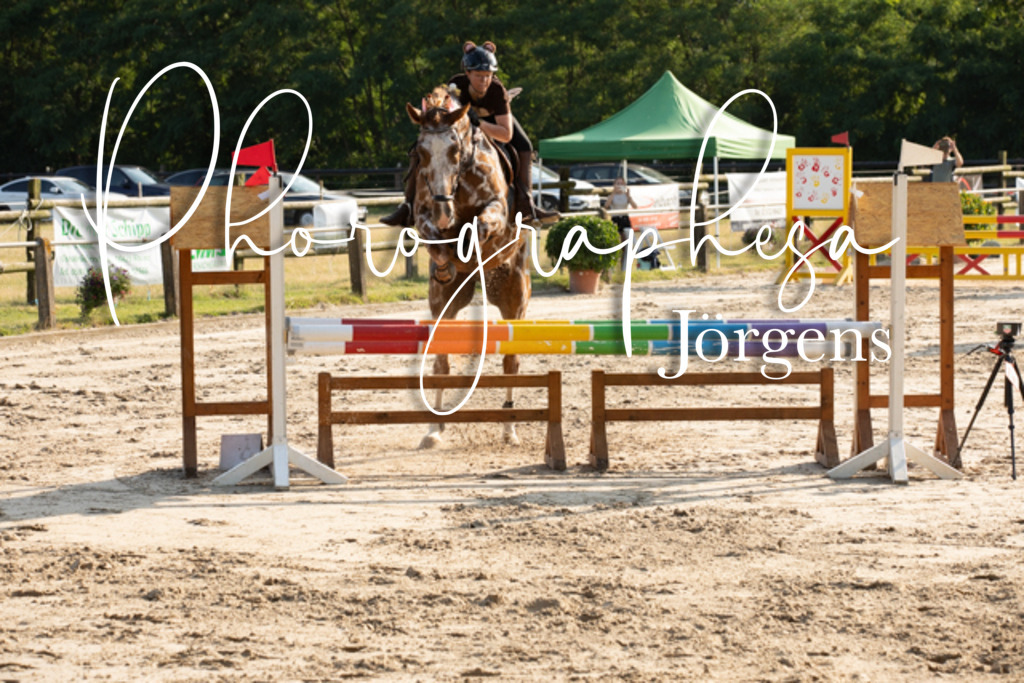 IMG_3602 | photographesa-joergens - Realisiert mit Pictrs.com