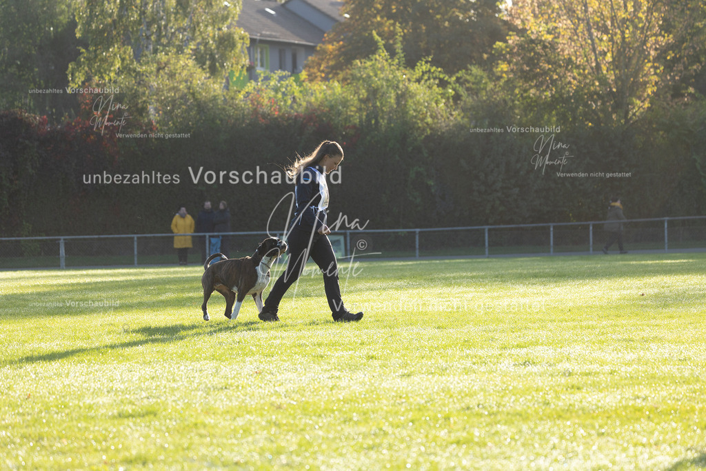 _16A6199 | Einzigartige Fotos von Hunden & Menschen –Actionfotos, Portraits, Vereinsaufnahmen & Paarshootings – authentisch, lebendig & mit Herz.