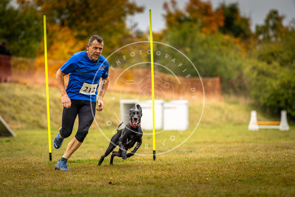 Pfotenfotografie_DV3A2427 | Hundefotografie, Tierfotograf, Pfotenfotografie, Fotoshooting Hund, Hunde Portrait, Hundesport, Hundeportraits, Heideshooting, Hunde, Sportfotograf, Hundefotograf, Turnierhundsport, THS,  - Realisiert mit Pictrs.com