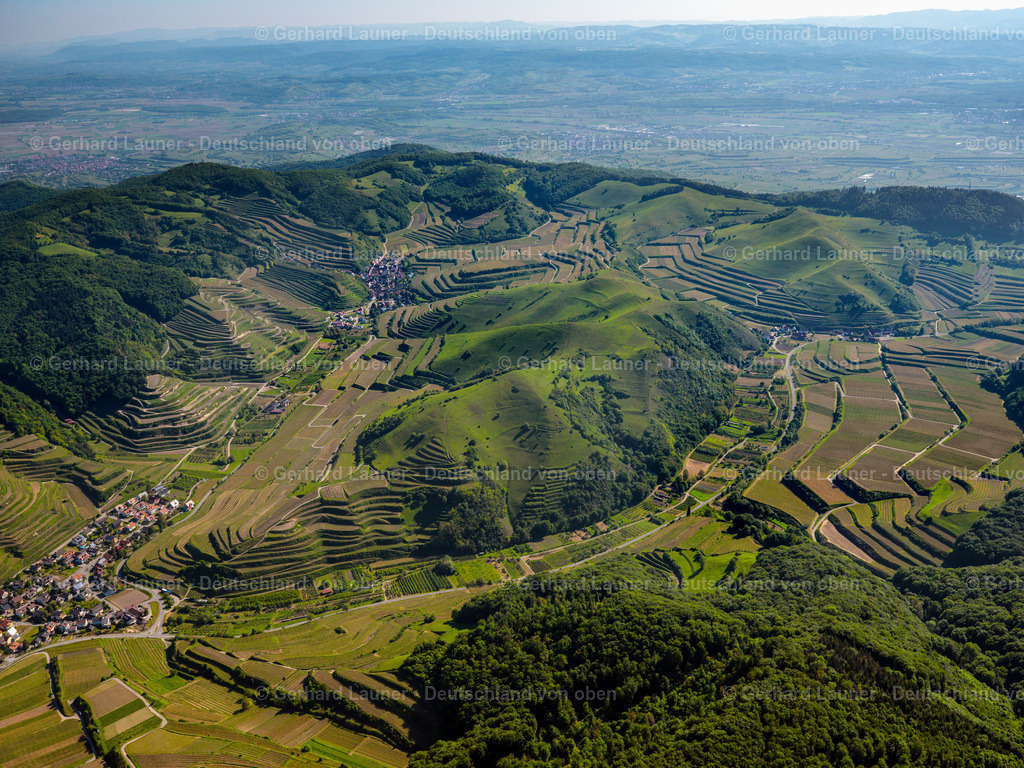 3096262 | Weinbergsterassen am Badberg, Kaiserstuhl