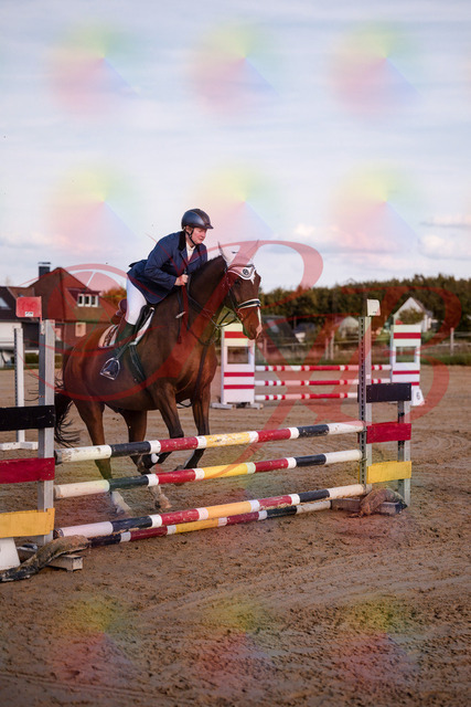 2026_10_03_Siefer-Hof_170340_Z81_00347173 | Professionelle Reitsport-, Turnier- und Eventfotografie von Robert Broda. Galerien mit ausgewählten und bearbeiteten Bildern direkt online ansehen und bestellen.
