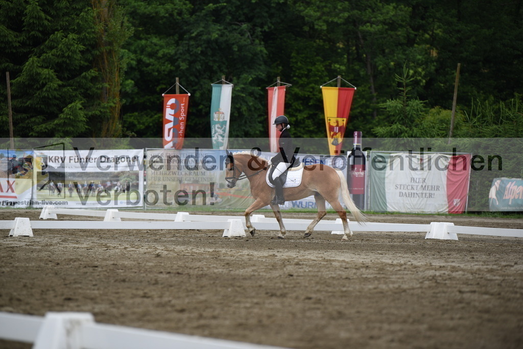 DSC_8173 | equestrian-live-com