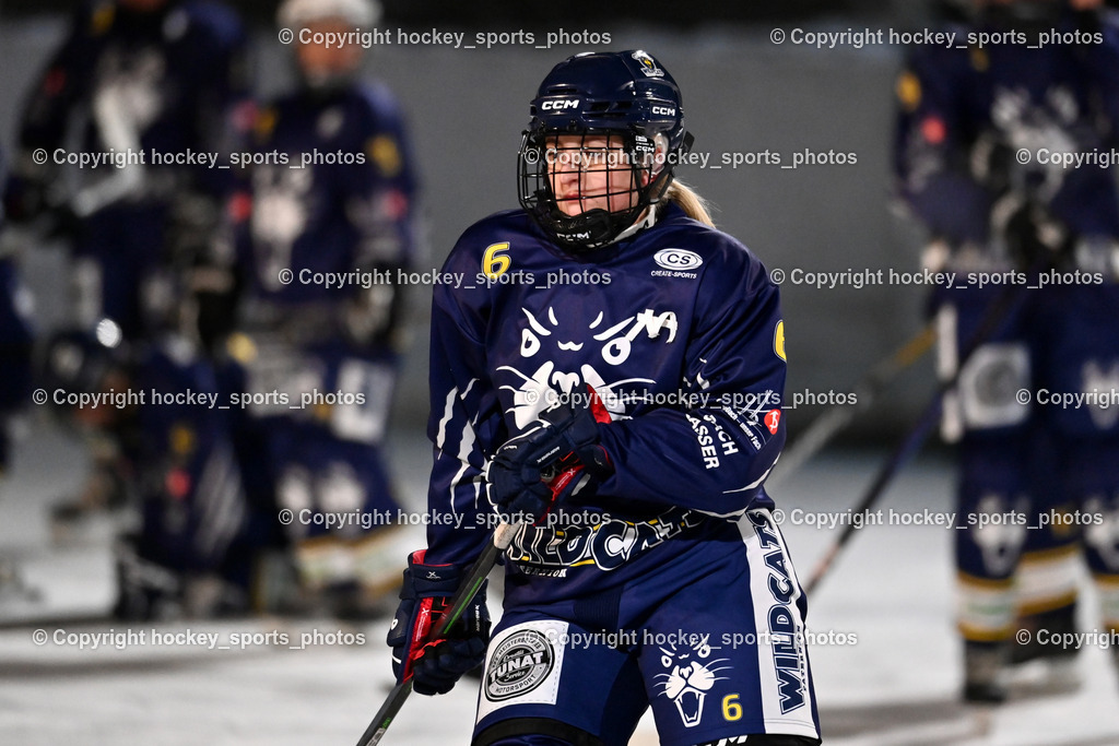 Wildcats Paternion vs. Unicorns Steindorf | #6 Jelovcan Selina WILDCATS PATERNION, Wildcats Paternion vs. Unicorns Steindorf, Wildcats Paternion vs. Unicorns Steindorf am 02.01.2026 in Paternion (Eislaufplatz Paternion), Austria, (Photo by Bernd Stefan)