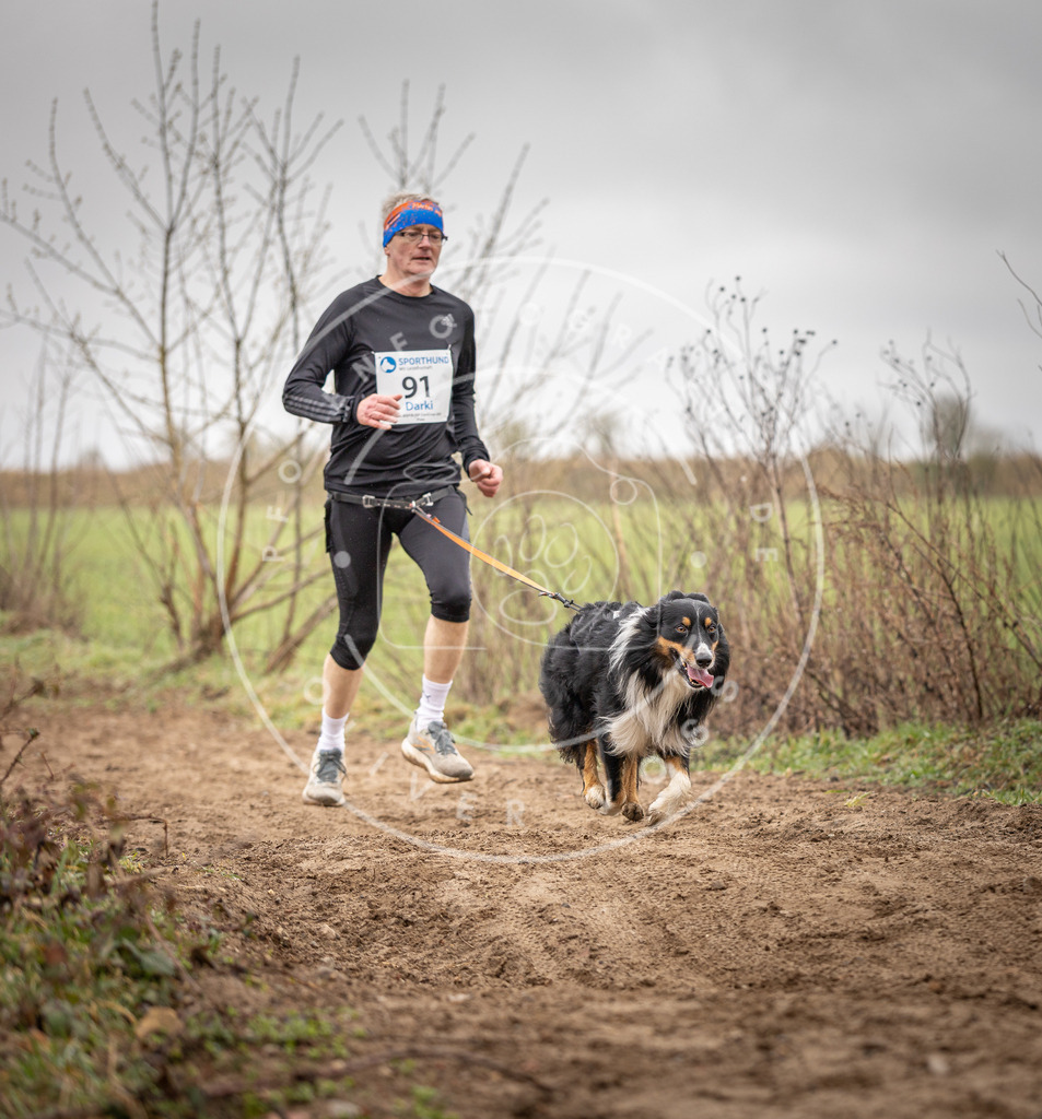 DV3A9993 | Hundefotografie, Tierfotograf, Pfotenfotografie, Fotoshooting Hund, Hunde Portrait, Hundesport, Hundeportraits, Heideshooting, Hunde, Sportfotograf, Hundefotograf, Turnierhundsport, THS,  - Realisiert mit Pictrs.com