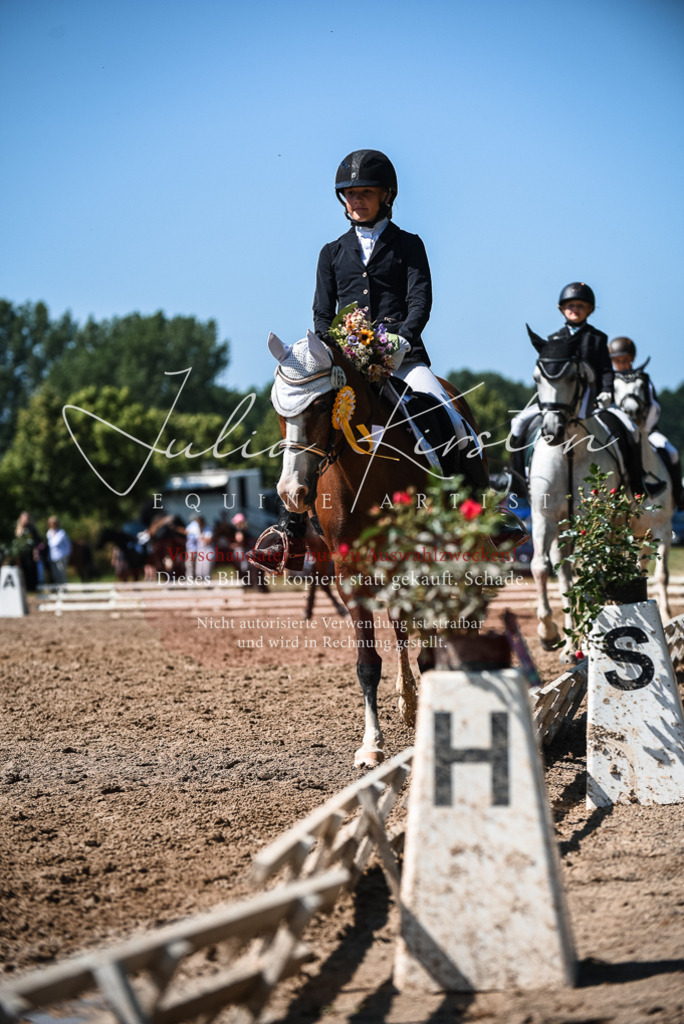 DSC_3693 | Pferde- und Turnierfotografie in Westsachsen. Pferdeportraits, Auftragszeichnungen und intuitive Kunst.