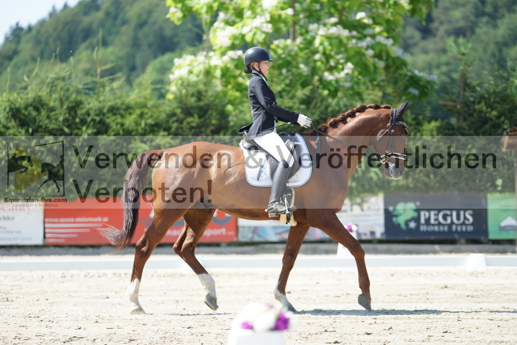 DSC03719 | equestrian-live-com