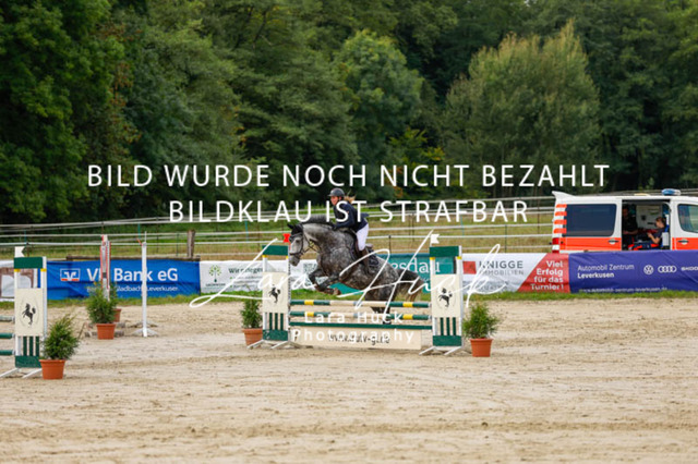 _62_9156 | larahueckfotografie