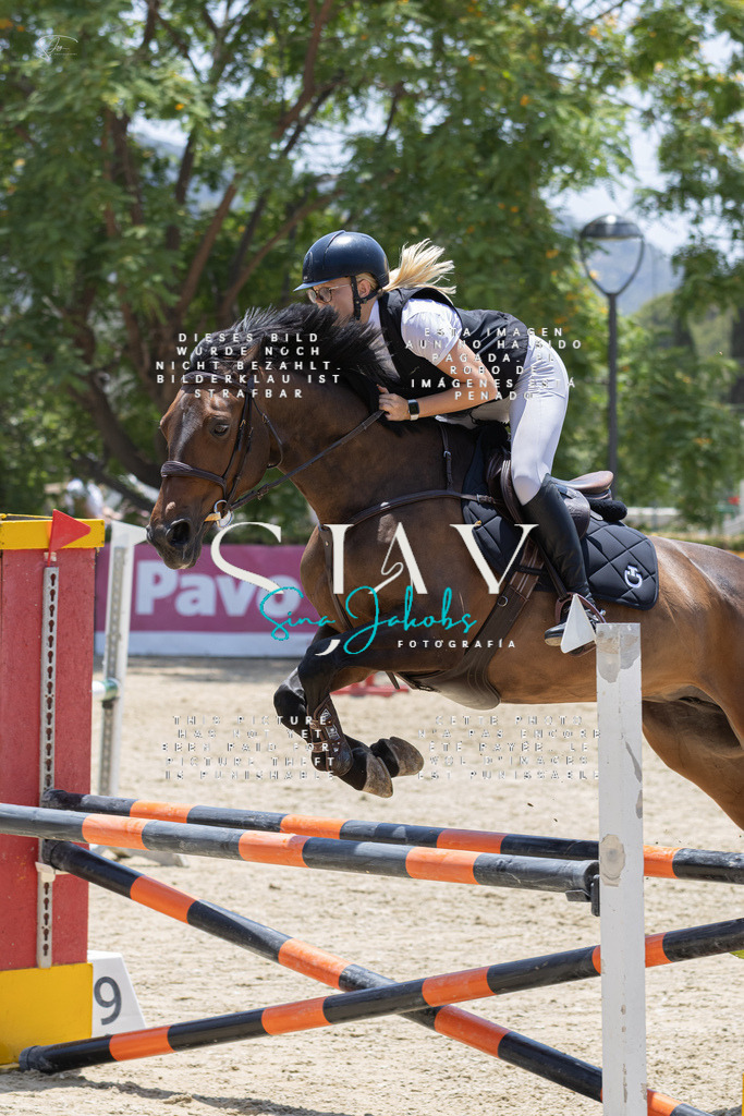 IMG_1770 | s-jay-photography - Realisiert mit Pictrs.com