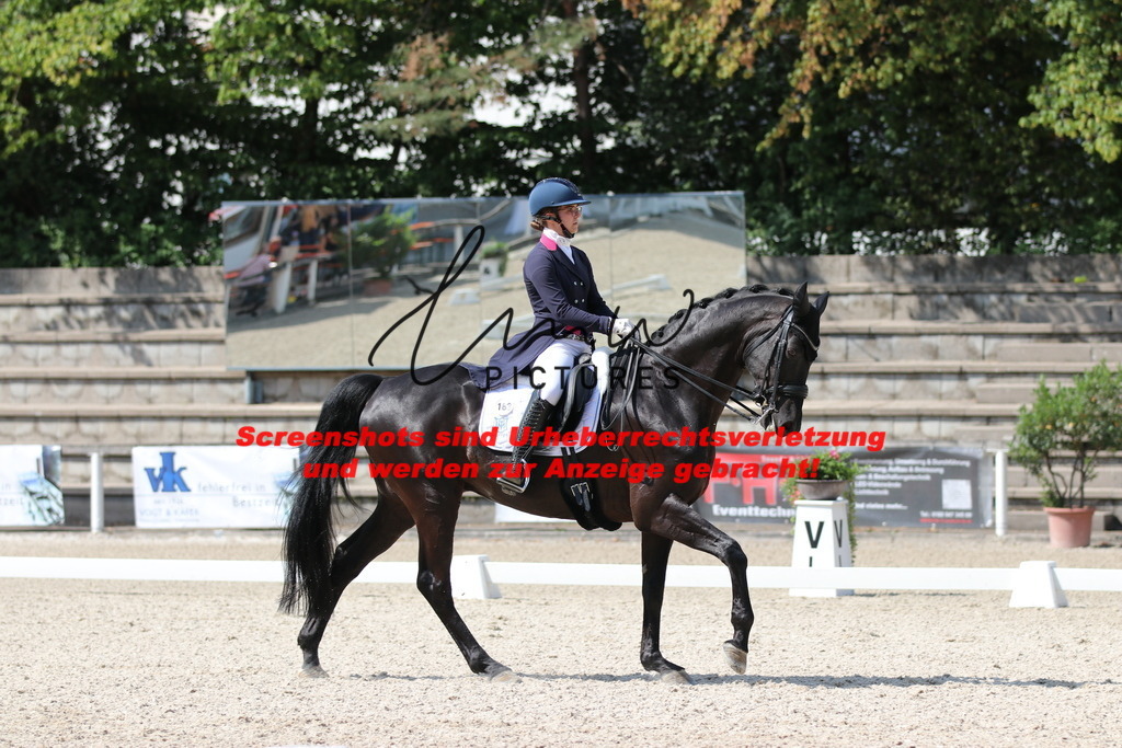 IMG_9486 | lmwpictures - Realisiert mit Pictrs.com