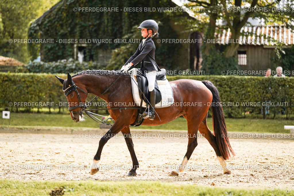 DSC01318 | Pferdegrafie