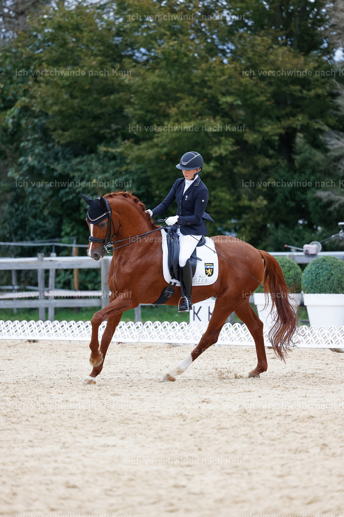 04_2-223-Dressur M__ -StoibPH-2964 | working equitationturnier fotograf videograf stoibphotography marixx film working equitation deutschland reitsport turnierfotografie eventfotografie equestrian events