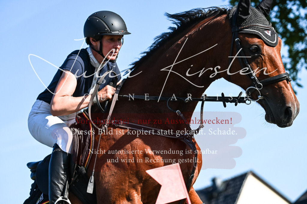 DSC_2711 | Pferde- und Turnierfotografie in Westsachsen. Pferdeportraits, Auftragszeichnungen und intuitive Kunst.