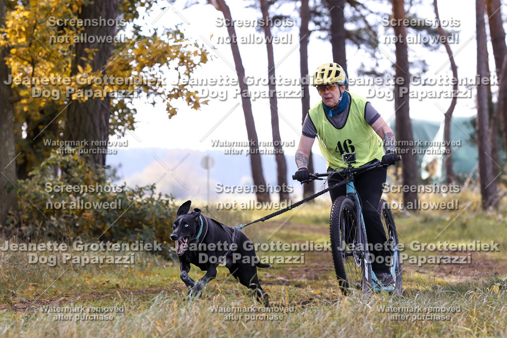 Dog Paparazzi - Elsholz 25 -176 | Dog Paparazzi Jeanette Grottendiek Fotografie & Videografie - Realisiert mit Pictrs.com