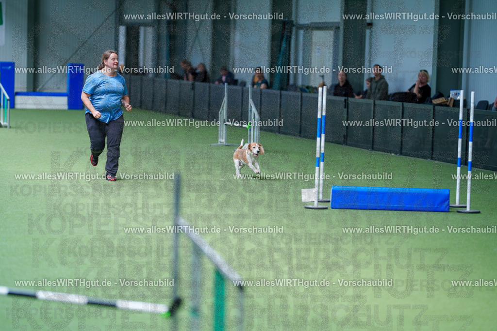 @allesWIRTHgut_Tierfotografie - www.allesWIRTHgut.de - 2604261221-7R500748 | Professionelle Tierfotografie in Mönchengladbach von Daniel Wirth (allesWIRTHgut). Liebevolle & natürliche Bilder von Hunden & Katzen für unvergessliche Erinnerungen.