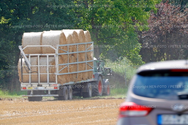 Ried Impressionen | 25.07.2025 Heu Ernte hier Heurollen Heuballen auf einem landwirtschaftlichen Anhänger unterwegs vom Feld auf die Straße und zum Bauernhof (Foto: Peter Henrich) - Realisiert mit Pictrs.com