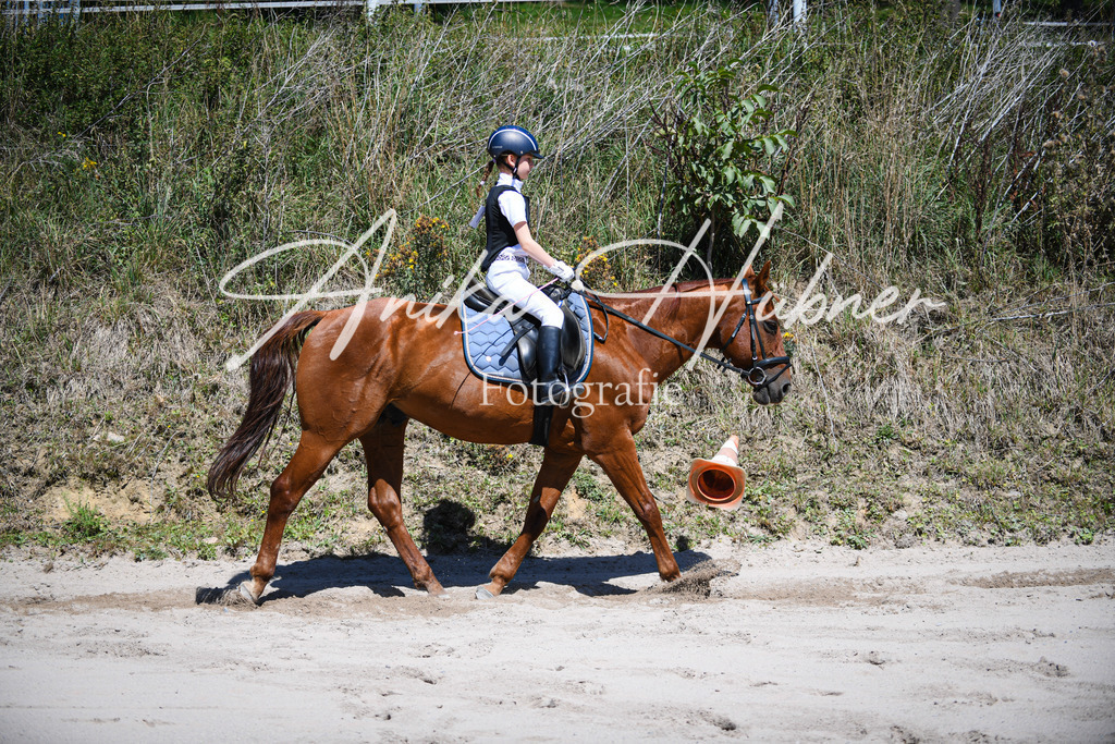 DSC_0909 | anikahuebner - Realisiert mit Pictrs.com