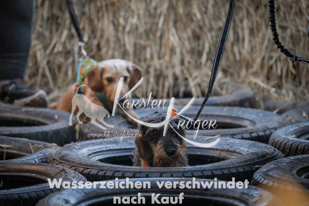 0924_ZZ92854 | kk-dogfotos
