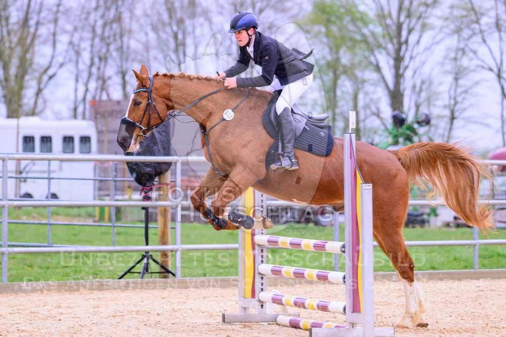 10042026-Mammendorf-Prfg13-0308 | Fokus Hufschlag Fotografie - Realisiert mit Pictrs.com