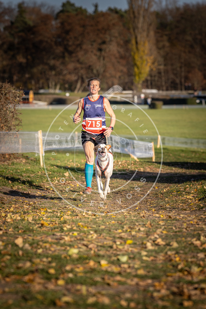 CaniXpix_DV3A1710 | Hundefotografie, Tierfotograf, Pfotenfotografie, Fotoshooting Hund, Hunde Portrait, Hundesport, Hundeportraits, Heideshooting, Hunde, Sportfotograf, Hundefotograf, Turnierhundsport, THS,  - Realisiert mit Pictrs.com