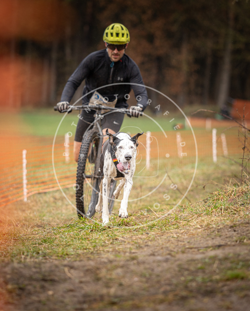 DV3A9398 | Hundefotografie, Tierfotograf, Pfotenfotografie, Fotoshooting Hund, Hunde Portrait, Hundesport, Hundeportraits, Heideshooting, Hunde, Sportfotograf, Hundefotograf, Turnierhundsport, THS,  - Realisiert mit Pictrs.com
