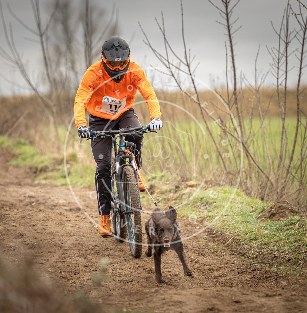 DV3A0808 | Hundefotografie, Tierfotograf, Pfotenfotografie, Fotoshooting Hund, Hunde Portrait, Hundesport, Hundeportraits, Heideshooting, Hunde, Sportfotograf, Hundefotograf, Turnierhundsport, THS,  - Realisiert mit Pictrs.com