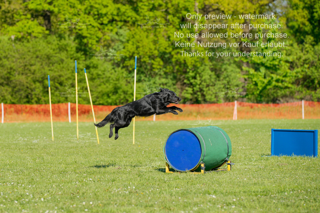 Sa_CSC-414 | stephaniefillaphotographie - Realisiert mit Pictrs.com